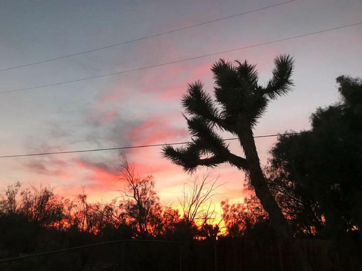 Float Pool, Hot Tub, Sauna, Views, Telescope-skywatchers Haven * Joshua Tree