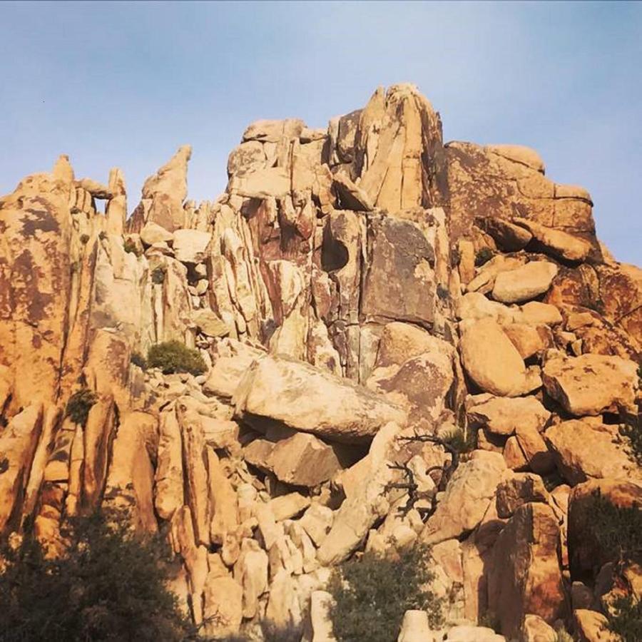 Float Pool, Hot Tub, Sauna, Views, Telescope-skywatchers Haven Joshua Tree